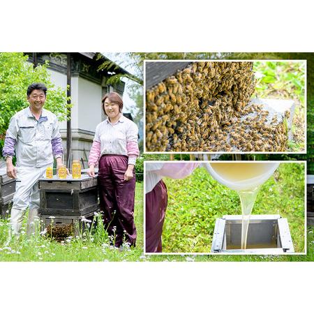 ふるさと納税 秋田県産はちみつ トチ蜜500g×3本 合計1.5kg 化粧箱入り 田沢湖養蜂場 秋田県仙北市の画像