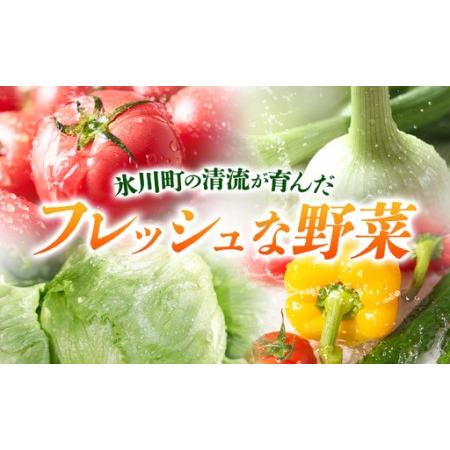 ふるさと納税 【6ヶ月定期便】旬の野菜詰め合わせセット 8-12品 野菜 熊本県氷川町_1