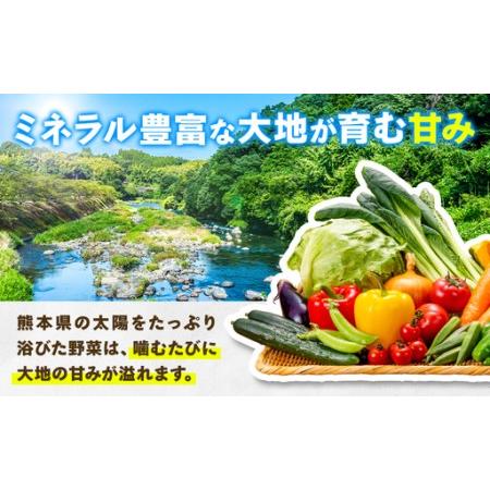 ふるさと納税 【6ヶ月定期便】旬の野菜詰め合わせセット 8-12品 野菜 熊本県氷川町_2