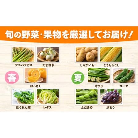 ふるさと納税 【6ヶ月定期便】旬の野菜詰め合わせセット 8-12品 野菜 熊本県氷川町_3