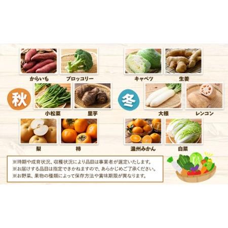 ふるさと納税 【6ヶ月定期便】旬の野菜詰め合わせセット 8-12品 野菜 熊本県氷川町_4