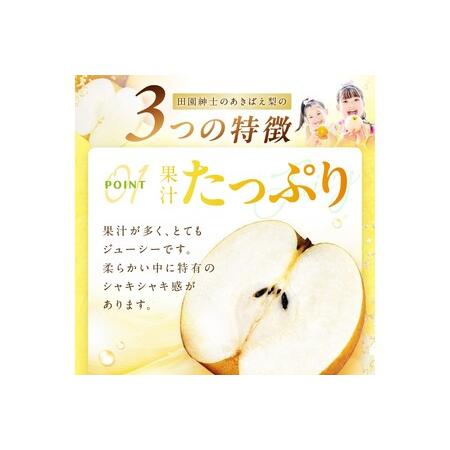 ふるさと納税 梨／あきばえ【先行予約／数量限定200】京丹後産 あきばえ梨 5kg（14〜18玉）（2024年8月下旬〜発送）秋栄（あきばえ）20世.. 京都府京丹後市｜furunavi｜03