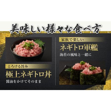 ふるさと納税 【ふるさと納税】【緊急支援品】 訳あり 高豊丸 ネギトロ 合計3kg (200g×15パック) ふるさと納税限定 高品質 まぐろたたき ま.. 高知県室戸市｜furunavi｜04