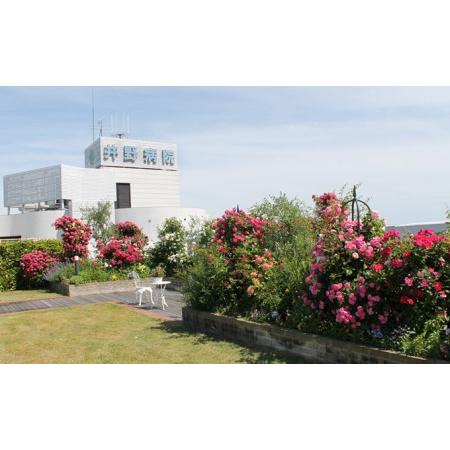 海外品 ふるさと納税 井野病院「人間ドックコース」 兵庫県姫路市 【E1846024720】(65000円)