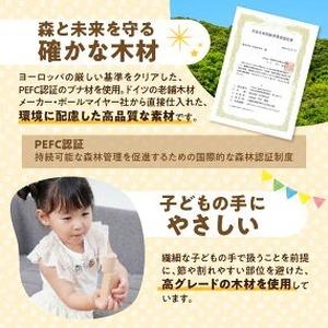 ふるさと納税 【ギフト対応OK！】小さな大工さん ドミノ_積み木 ドミノ 500個 おもちゃ 玩具 ギフト 木製 無垢 ドイツ木材 小さな大工さん 子.. 福岡県久留米市_4