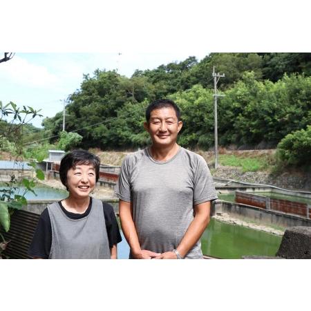 ふるさと納税 猪股さんのこだわりすっぽん鍋セットC | 豊後高田市 すっぽん 大分県豊後高田市の画像