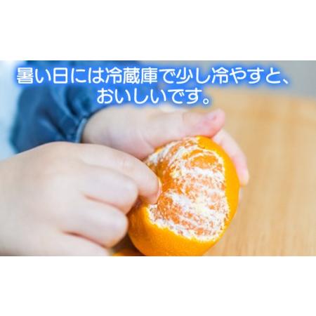 ふるさと納税 【秀品】ハウスみかん 約20kg 【今村農園】2026年 7月 夏 発送 甘い 果物 フルーツ ギフト 柑橘 温州 みかん 先行予約 数量限定 期.. 大分県杵築市_2