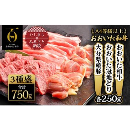 ふるさと納税 おおいた和牛・大分県産豚・おおいた冠地どり3種盛(合計750g)[配送不可地域:離島][1112601] 大分県日出町