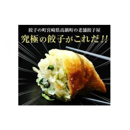 ふるさと納税 TV番組で餃子日本一獲得!<餃子の馬渡馬渡のもっ ふるさと納税 TV番組で餃子日本一獲得!<餃子の馬渡馬渡のもっ
