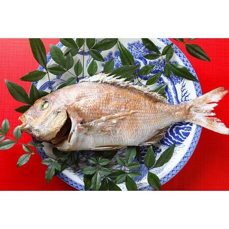 低価格 広島県尾道市 鯛 のどぐろ ふるさと納税 天然真鯛の塩焼き １尾 お祝い お食い初め等におすすめ 広島県尾道市 魚介類 海産物 Gallup9th Com