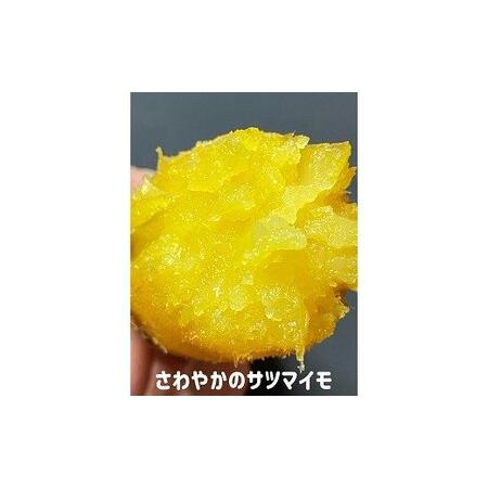 ふるさと納税 【予約受付中・2026年10月頃より順次発送】さわやかのサツマイモと鳴門金時の食べ比べセット 3kg 徳島県鳴門市の画像