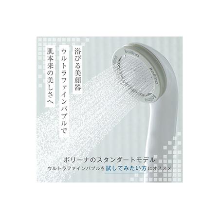 真作保証 当たれ 画家 甲斐大策 水彩画 F3号『羅馬を睥睨する糞族の王 
