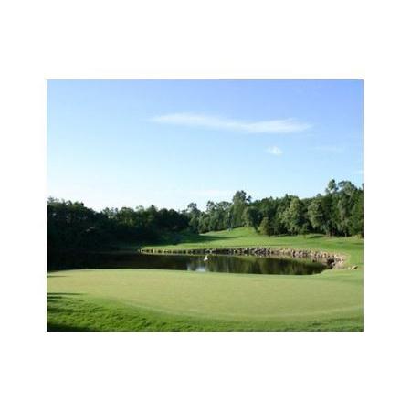 【初期/レア】 ふるさと納税 E-2 平日限定 西コースプレー券【宍戸ヒルズカントリークラブ】 茨城県笠間市 【XUR7185279084】(25300円)