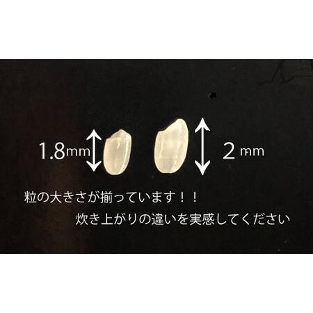 ふるさと納税 かさまの粋認証 特別栽培米 コシヒカリペットボトル米 茨城県笠間市｜furunavi｜03