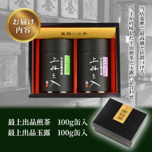 ふるさと納税 宇治煎茶と玉露の詰合わせ(100g×2缶)京都 お土産 京都土産  日本茶 宇治茶  煎茶 玉露 緑茶  グリーンティー  お茶【uj-AU002.. 京都府宇治市の画像