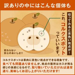 ふるさと納税 DS-21　【訳あり・品種はおまかせ】大山町産梨（5kg） 鳥取県大山町｜furunavi｜04