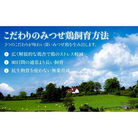 ふるさと納税 佐賀県産 みつせ鶏焼鳥6種24本 やきとり  焼き鳥[FCI008] 佐賀県吉野ヶ里町の画像