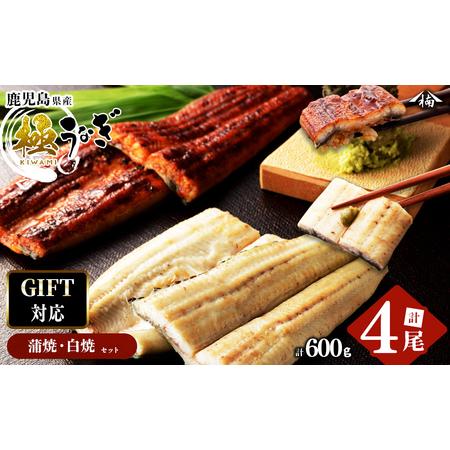 春のコレクション 鹿児島県志布志市 ウナギ 穴子 鹿児島県志布志市 150g以上 4尾 計600g以上 蒲焼き2尾 白焼き2尾 ギフト対応 楠田の極うなぎ B0 101 ふるさと納税 魚介類 海産物 Www Construction Gouv Cg