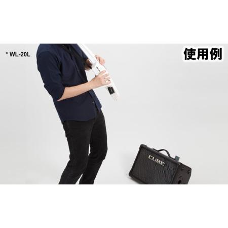 ふるさと納税 【BOSS】WL-20L/ワイヤレス・システム【配送不可：離島】 電化製品 静岡県浜松市_2