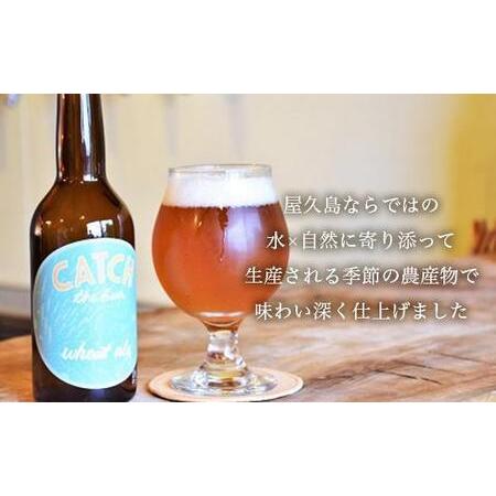 ふるさと納税 【定期便6ヶ月】屋久島・地ビール Catch the Beerおまかせビール4種12本セット 鹿児島県屋久島町_1