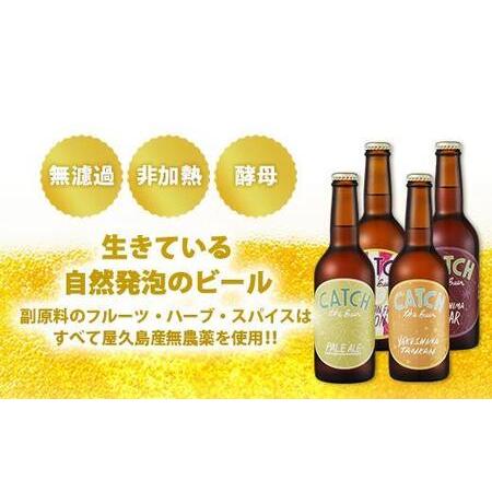 ふるさと納税 【定期便6ヶ月】屋久島・地ビール Catch the Beerおまかせビール4種12本セット 鹿児島県屋久島町_2