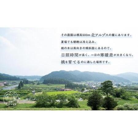 ふるさと納税 桃 飛騨のたからもも  | 桃 つむぎ果樹園 GH006 岐阜県高山市の画像