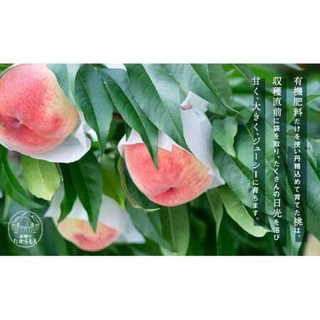 ふるさと納税 桃 飛騨のたからもも  | 桃 つむぎ果樹園 GH006 岐阜県高山市の画像