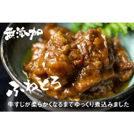 ふるさと納税 牛すじ ふわとろ煮 4袋 和牛 牛すじ [Q713wx] 岐阜県飛騨市_1