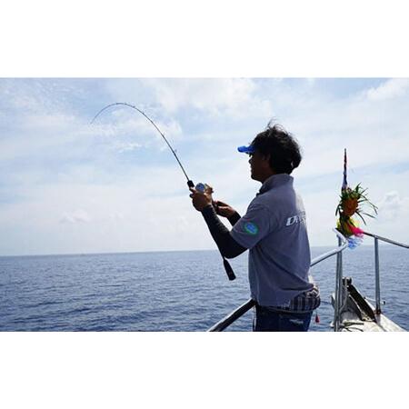 ふるさと納税 ディープライナー ロジカル55 #3 (推奨ジグウエイト100