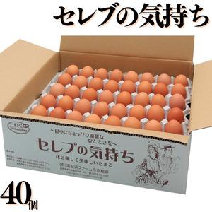 ふるさと納税 126g セレブの気持ち40個 鳥取県湯梨浜町 Dalewatkins Com