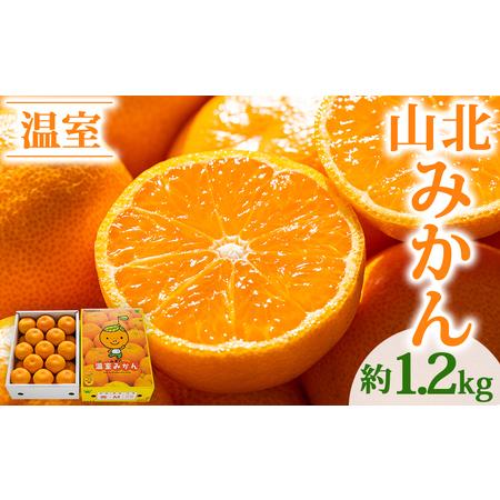 ふるさと納税 【6?8月発送】山北温室みかん 1.2kg みかん 果物 ku-0050 高知県香南市 | 