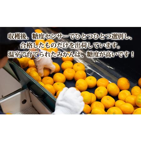 ふるさと納税 【6?8月発送】山北温室みかん 1.2kg みかん 果物 ku-0050 高知県香南市 |  | 03