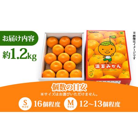 ふるさと納税 【6?8月発送】山北温室みかん 1.2kg みかん 果物 ku-0050 高知県香南市 |  | 04