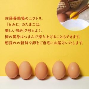 ふるさと納税 F32-4　佐藤養鶏場　至福の電子イオンたまご70個 熊本県宇土市 ふるさと納税 熊本県宇土市 K1134182522(11250円)