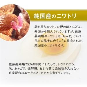 ふるさと納税 F32-4　佐藤養鶏場　至福の電子イオンたまご70個 熊本県宇土市 ふるさと納税 熊本県宇土市 K1134182522(11250円)
