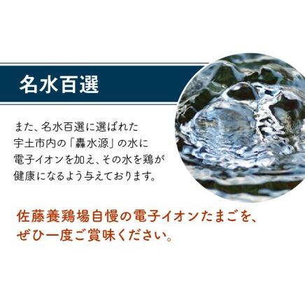 ふるさと納税 F32-4　佐藤養鶏場　至福の電子イオンたまご70個 熊本県宇土市 ふるさと納税 熊本県宇土市 K1134182522(11250円)