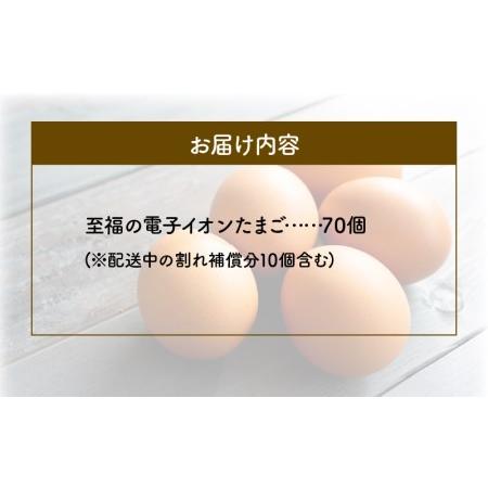 ふるさと納税 F32-4　佐藤養鶏場　至福の電子イオンたまご70個 熊本県宇土市 ふるさと納税 熊本県宇土市 K1134182522(11250円)