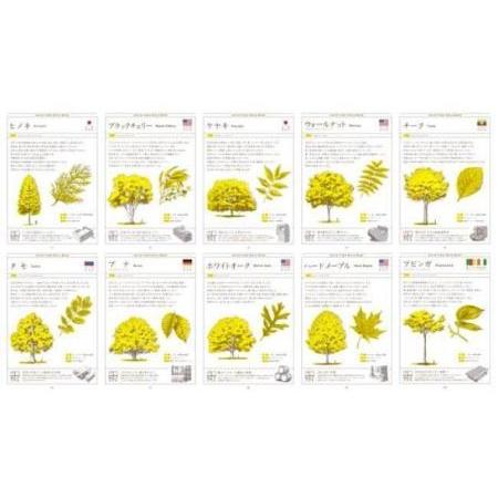 ふるさと納税 D112　ひっぱるとたちあがる木の標本 DOMIGO world trees 大阪府八尾市 