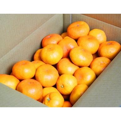 ふるさと納税 【ご家庭用訳アリ】紀州有田産濃厚完熟温州みかん 7.5kg ※2022年11月下旬〜2023年1月下旬頃に順次発送予定(お届け日指定不可).. 和歌山県串本町|furunavi|02