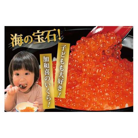 ふるさと納税 味付いくら 鱒卵 200g×2パック イクラ [かわむら家 宮城県 気仙沼市 20564994] 宮城県気仙沼市の画像