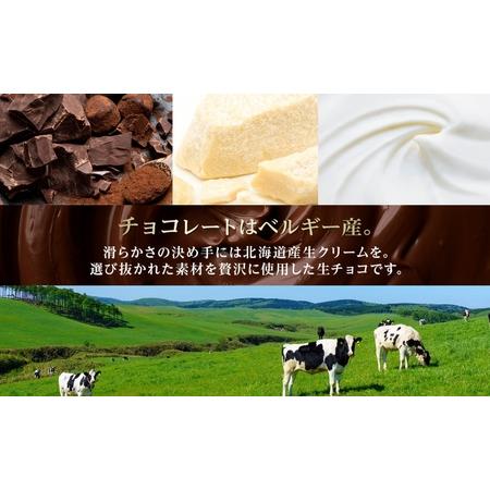 ふるさと納税 生チョコ Lサイズ 生チョコ生みの親 監修 チョコレート 神奈川県平塚市_2
