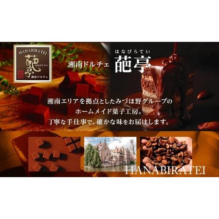 ふるさと納税 生チョコ Lサイズ 生チョコ生みの親 監修 チョコレート 神奈川県平塚市_4