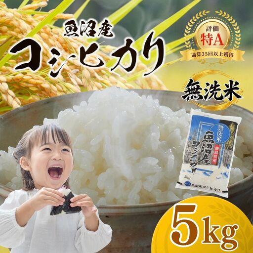 ふるさと納税 魚沼産コシヒカリ 無洗米 5kg 新潟県 | おこめ 5キロ×1袋 特A評価 無洗 新潟県小千谷市 | 