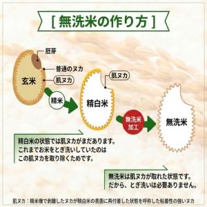 ふるさと納税 魚沼産コシヒカリ 無洗米 5kg 新潟県 | おこめ 5キロ×1袋 特A評価 無洗 新潟県小千谷市 |  | 04