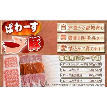 ふるさと納税 「ぱわーす豚」ロースバラエティセット2.2kg_MJ-6408 宮崎県都城市|furunavi|02