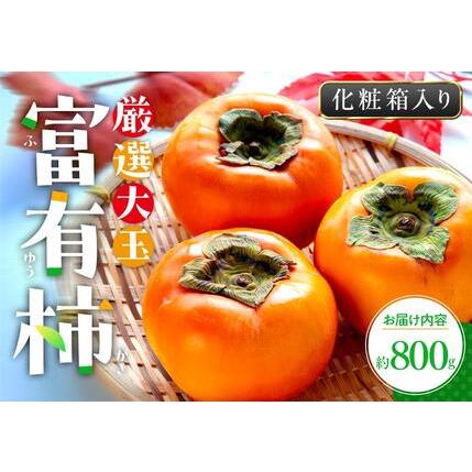ふるさと納税 厳選大玉 富有柿 化粧箱 約800g[2026年10月下旬〜2026年12月中旬配送] 香川県高松市