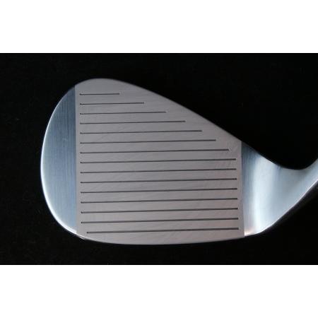ふるさと納税 1047.HAYABUSA ウェッジ AW MODUS115WEDGE 48度、50度