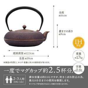 ふるさと納税 南部鉄器 鉄瓶 立目 紫金 0.8L 【及富作】 IH調理器 伝統