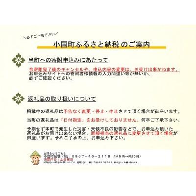 ふるさと納税 【阿蘇小国産】小国ジャージー牛乳かりんとう(100g×12袋) 熊本県小国町 