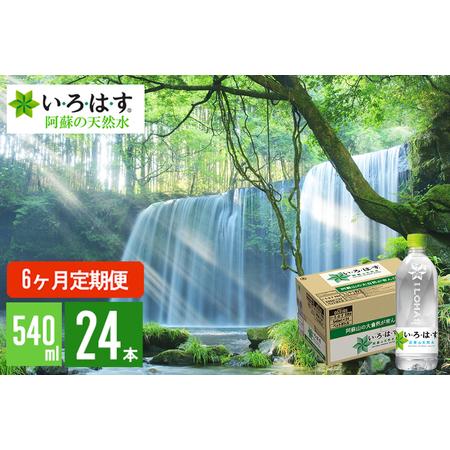 ふるさと納税 6ヶ月定期便 い ろ は す いろはす 阿蘇の天然水 ドリンク 水 お酒 555mlpet 24本 1ケース 6ヶ月 計144本 計144本 熊本県小国町 食品 ふるなび ふるさと納税 激安買蔵